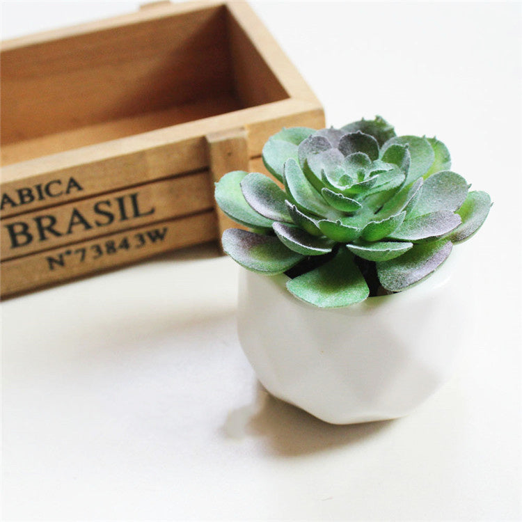 Artificial Succulent Bonsai Creative Ornaments for Home Table Garden Decoration Artificial Plants with Pot