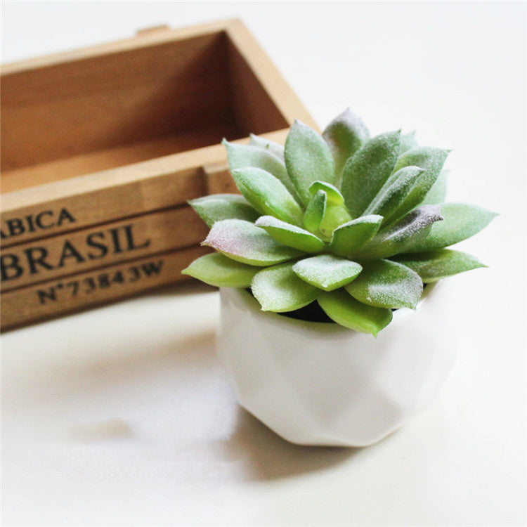 Artificial Succulent Bonsai Creative Ornaments for Home Table Garden Decoration Artificial Plants with Pot